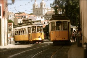 tbexnlgtfscrsctjstm4_img_0684